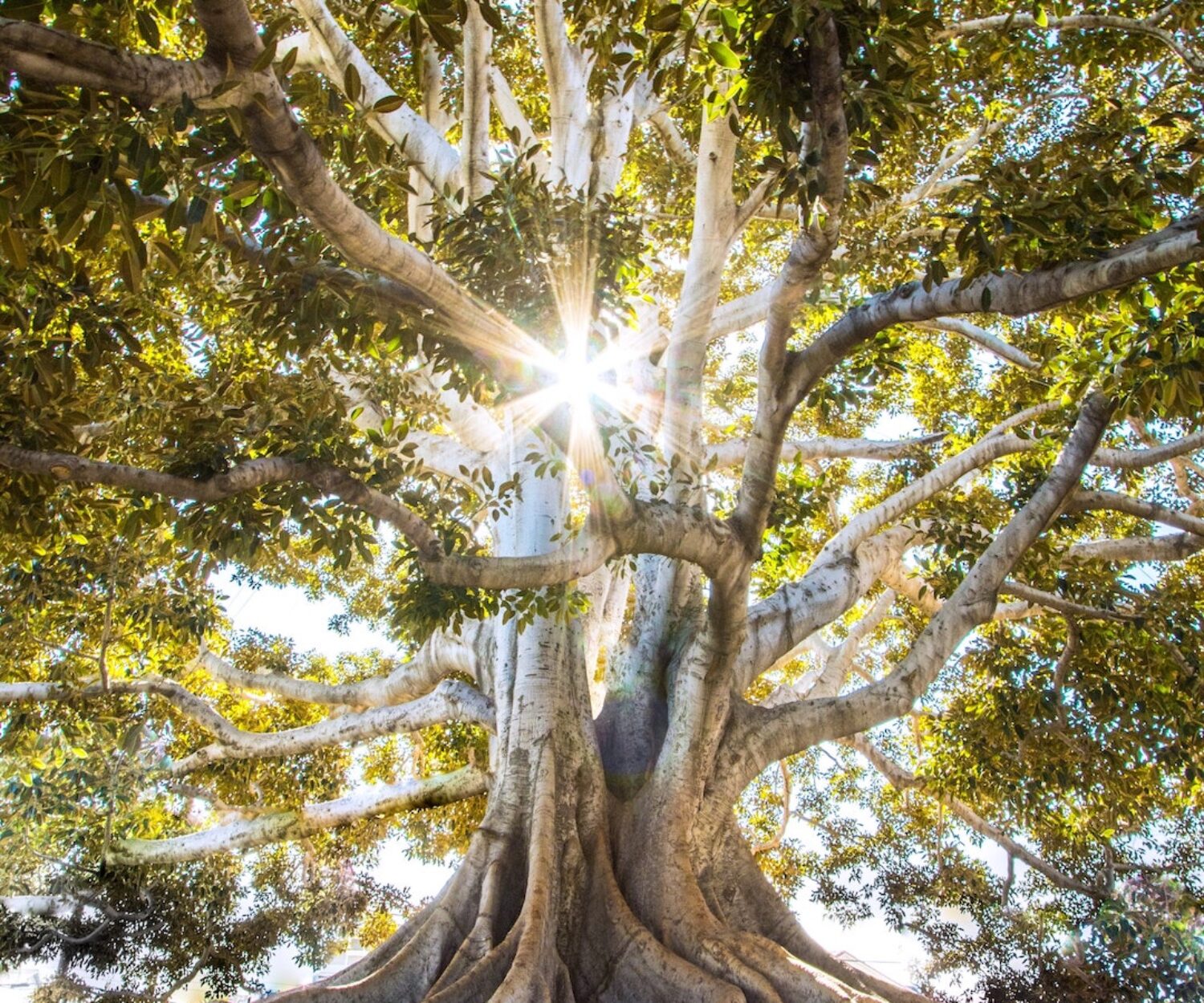 3 Keys to Creating Spiritual Growth