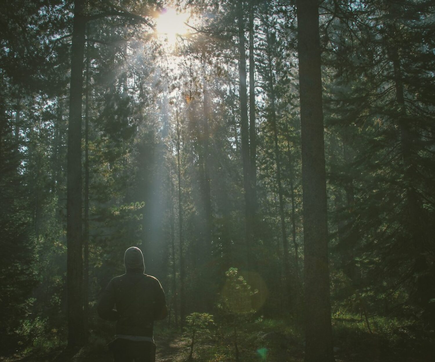 Sunday Bible Lesson: Walking Humbly with God
