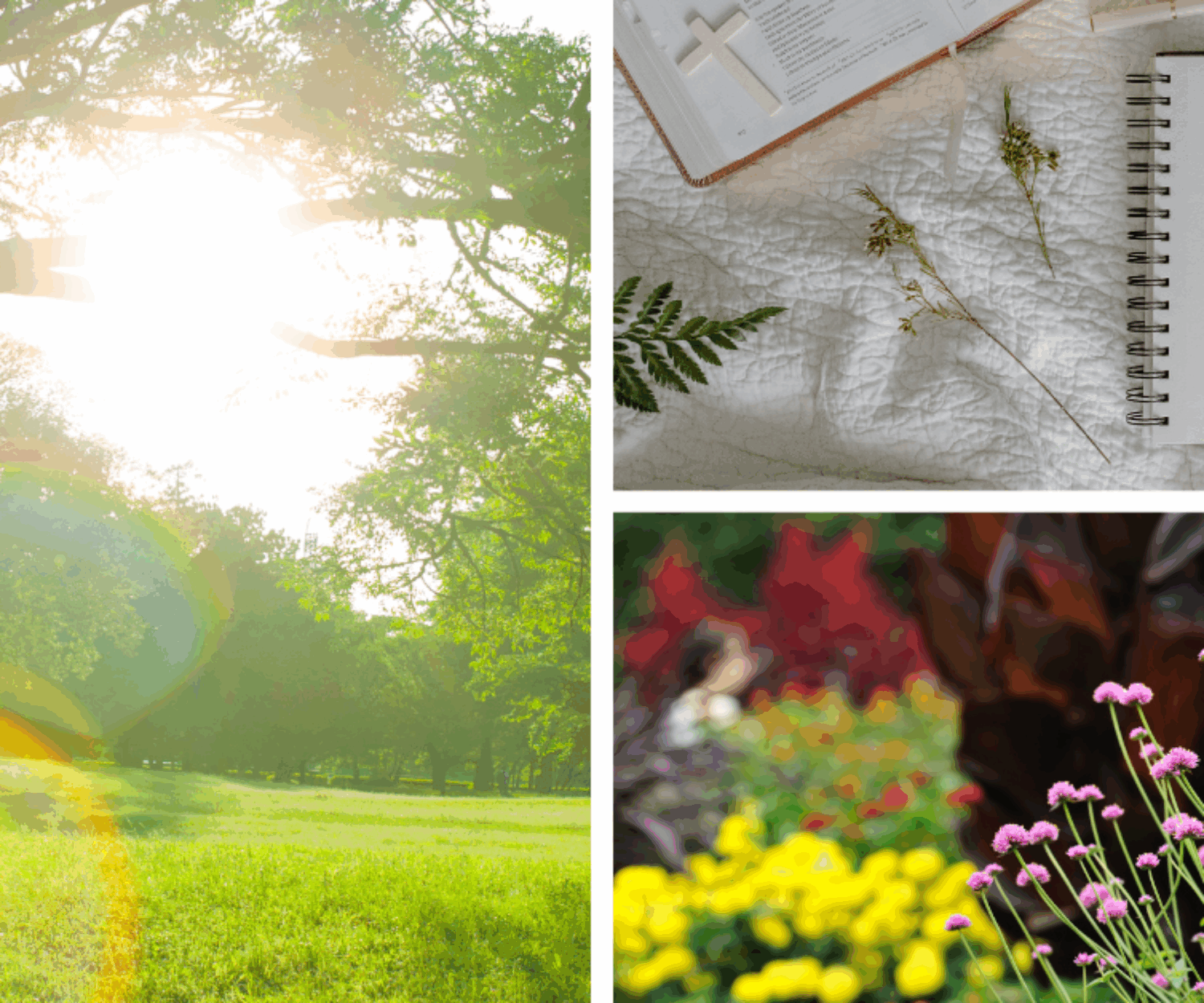 Summer Bible Study Series