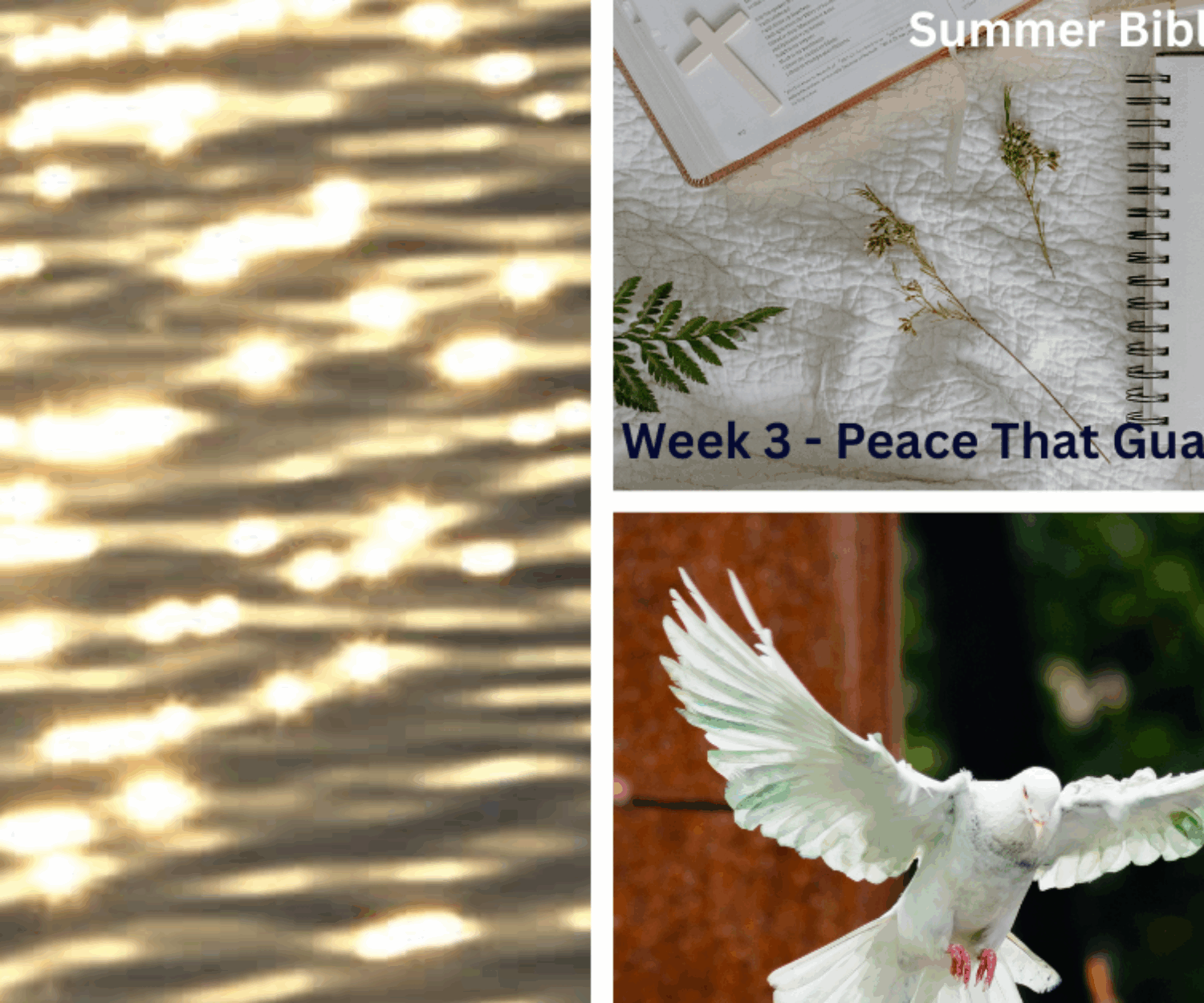 2025 Summer Bible Study Series
