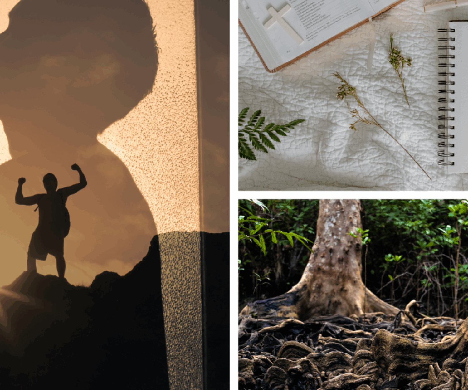 2025 Summer Bible Study Series